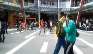 Un flashmob pour faire un maori géant