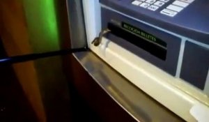 Un serpent se cache dans un distributeur de billets