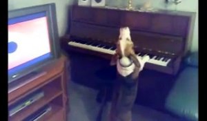 Le chien qui joue du piano debout!!!