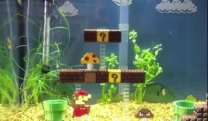Mario Bross Représenté en aquarium...