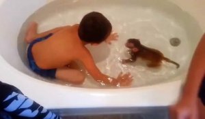 Prendre un bain avec son singe ... tout à fait normal ! LOL