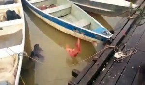 Nourrir des Piranhas dans une rivière au Brésil : flippant!