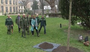 Journée internationale des forêts : Ségolène Royal plante un alisier dans les jardins de l’Hôtel de Roquelaure