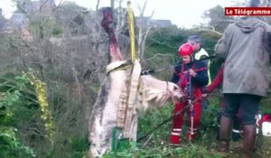 Trégastel (22). Une ponette chute dans une faille rocheuse