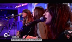 The Staves " Teeth White" - C à vous - 26/03/2015