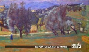 La peinture, c'est Bonnard