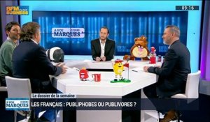 Les Français sont-ils publivores ou publiphobes ?: Valéry Pothain, Jules Guillemet et Christophe Lafarge (2/3) - 05/04