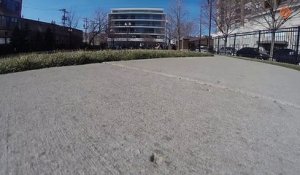 Une GoPro sur un moineau : ooops.. FAIL