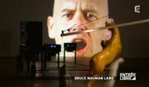 Bruce Nauman Land