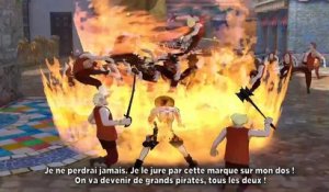 One Piece : Pirate Warriors 3 - Les amis
