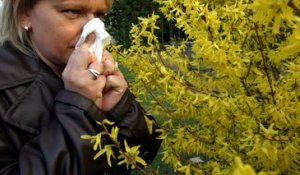 Alerte aux pollens : l'allergie gagne t-elle du terrain ?