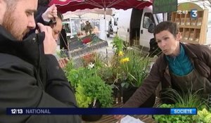 De plus en plus de jardins potagers au cœur des villes françaises
