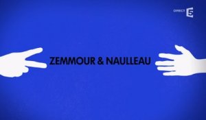 Zemmour et Naulleau, portraits croisés - C à vous - 28/04/2015