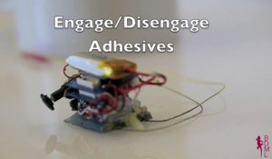 µTug : Micro Robot qui tire 2000 fois son propre poids
