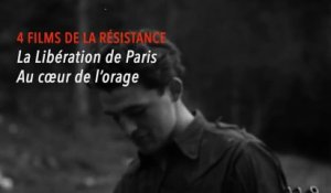 Le Cinéma de la Résistance