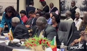 Afrique, discussions autour des réformes au sein du Conseil de sécurité de l'ONU