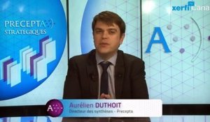 Aurélien Duthoit, Xerfi Canal Les fans de marques sur les réseaux sociaux