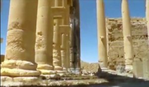La cité de Palmyre aux mains de l'Etat islamique