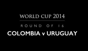 Fernando The Hamster: Round of 16 - 29 June - Colombia vs Uruguay