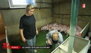 Crise de la filière porcine : les éleveurs doivent faire face aux invendus