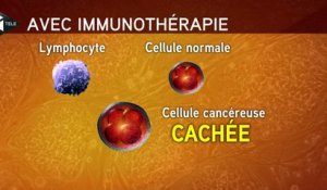 L'immunothérapie, un traitement prometteur contre le cancer
