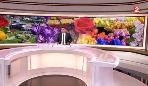 Rungis : le plus grand marché aux fleurs du monde