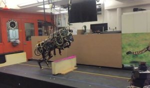Un robot capable de reproduire les mouvements d'un guépard
