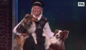 Un chien belge remporte l'émission "Britain's Got Talent"