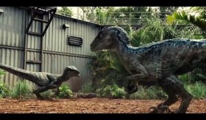 Jurassic World (2015) - Extrait "Owen sauve un employé des Raptors" [VOST-HD]