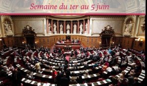 Sénat.Hebdo, du 1er au 5 juin 2015