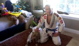Un Pitbull comme sparring partner en Jiu Jitsu : dingue