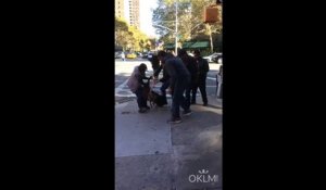 Un pitbull attaque un chat dans les rues de New-York