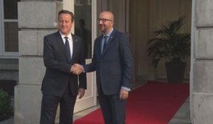 Charles Michel rencontre David Cameron