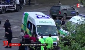 Inondations en Géorgie : des animaux sauvages dans les rues de la capitale