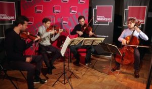 Antonín Dvořák, Quatuor américain (Finale) par le Quatuor Modigliani | Le Live de la Matinale