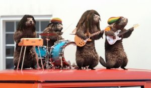 Bel été sur France 3 avec Les Marmottes Rasta / été 2015