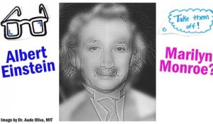 Voyez-vous le visage de Marilyn Monroe ou d'Einstein ?