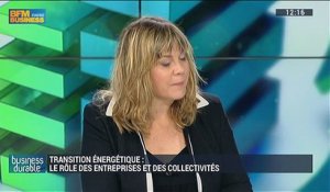 Quel rôle les entreprises jouent-elles dans la transition énergétique ?: Serge Lepeltier, Bernard Aulagne, Frédéric Lanoë et Fabrice Domange (2/4) – 05/07