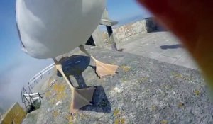 Une mouette vole la GoPro d'un touriste... Mieux qu'un drone