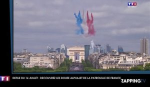 Défilé du 14 juillet : Découvrez les douze Alphajet de la Patrouille de France