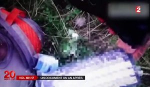 Vol MH17 : une vidéo montre les rebelles prorusses découvrant lieux du crash de l'avion