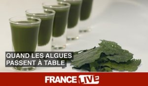 Quand les algues passent à table