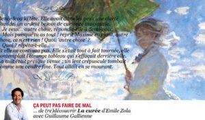 #lire - "La Curée" d'Emile Zola lu par Guillaume Gallienne