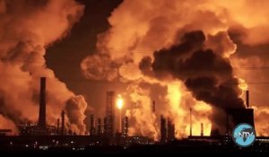 Cinq vidéos qui illustrent le dérèglement climatique