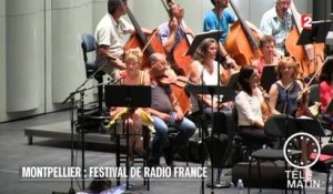 Carré VIP - Montpellier : Festival de Radio France - 2015/07/23