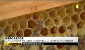 Importation de miel "trafiqué" : les apiculteurs inquiets !