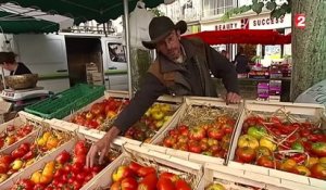 Un passionné de tomates cultive 450 variétés