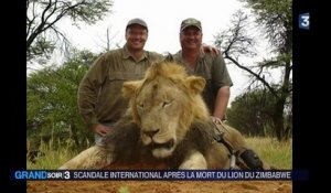 Walter Palmer, le chasseur qui fait scandale