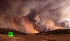 Des incendies dévorent les forêts de Californie
