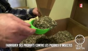 Santé - Fabriquer ses produits contre les piqûres d’insectes - 2015/08/12